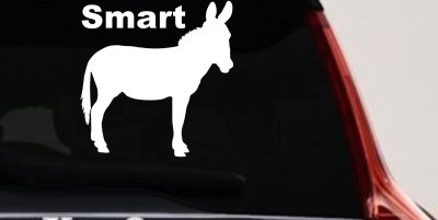 Smart Ass Funny Car or Truck Window Vinyl Decal Sticker