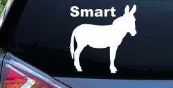 Smart Ass Funny Car or Truck Window Decal Sticker