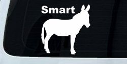 Smart Ass Funny Car or Truck Window Decal Sticker