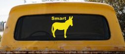 Smart Ass Funny Car or Truck Window Decal Sticker (Yellow)