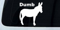 Dumb Ass Funny Car or Truck Window Decal Sticker