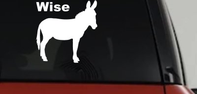 Wise Ass Funny Car or Truck Window Vinyl Decal Sticker