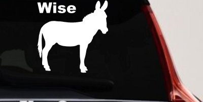 Wise Ass Funny Car or Truck Window Vinyl Decal Sticker