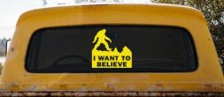 I Want To Believe Bigfoot Sasquatch Yetti Car or Truck Window Decal Sticker (Yellow)
