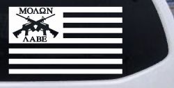 Molon Labe American Flag AR 15 Guns Guns Car or Truck Window Decal Sticker