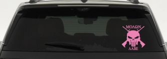 Molon Labe come and take them Punisher Skull AR 15 Guns Guns Car or Truck Window Decal Sticker (Pink)