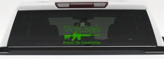 We The People Protect The Constitution AR 15 Guns Car or Truck Window Decal Sticker (Lime)