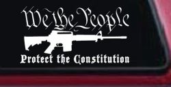 We The People Protect The Constitution AR 15 Guns Car or Truck Window Decal Sticker
