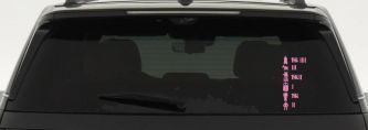 Doctor Who Keeping Count Sci Fi Car or Truck Window Decal Sticker (Pink)
