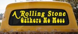A Rolling Stone Gathers No Moss Car or Truck Window Decal Sticker (Yellow)