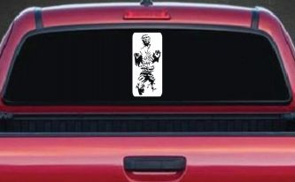 Star Wars Han Solo In Carbonite  Sci Fi Car or Truck Window Decal Sticker