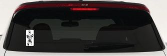 Star Wars Han Solo In Carbonite  Sci Fi Car or Truck Window Decal Sticker (White)