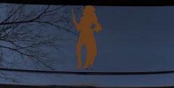 Pirate Wench Girl Car or Truck Window Decal Sticker (Copper)