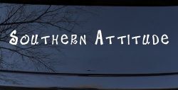 Southern Attitude Country Car or Truck Window Decal Sticker