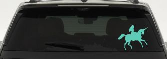 Woman Riding Unicorn Sci Fi Car or Truck Window Decal Sticker (Mint)