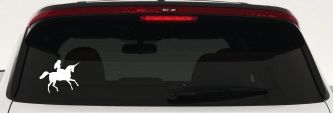 Woman Riding Unicorn Sci Fi Car or Truck Window Vinyl Decal Sticker (White)