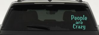 People Are Crazy Funny Car or Truck Window Decal Sticker (Mint)