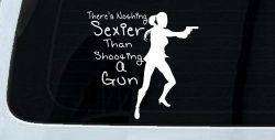 Theres Nothing Sexier Than Shooting A Gun Guns Car or Truck Window Decal Sticker