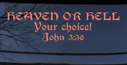 Heaven Or Hell Your Choice John 3 36 Christian Car or Truck Window Decal Sticker (Coral)