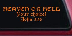 Heaven Or Hell Your Choice John 3 36 Christian Car or Truck Window Decal Sticker (Orange)