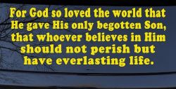John 3 16 For So God Loved The World Christian Car or Truck Window Vinyl Decal Sticker (Yellow)