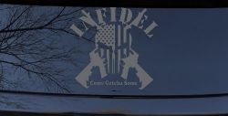 Infidel Come get You Some Punisher American US Flag AR 15 Military Car or Truck Window Decal Sticker (Silver)