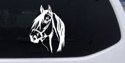 Dark Mane Horse Head Car or Truck Window Decal Sticker