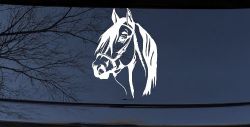 Dark Mane Horse Head Car or Truck Window Decal Sticker