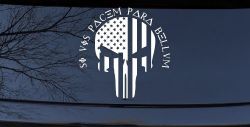 Punisher Skull US American Flag Si Vis Pacem Para Bellum Guns Car or Truck Window Decal Sticker