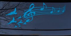Birds to Music Scale Notes Music Car or Truck Window Decal Sticker (Blue)