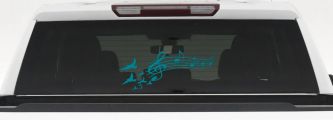 Birds to Music Scale Notes Music Car or Truck Window Decal Sticker (Turquoise Blue)