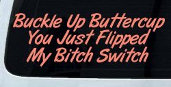 Buckle Up Buttercup You Just Flipped My Bitch Switch Funny Car or Truck Window Decal Sticker (Coral)