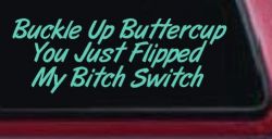 Buckle Up Buttercup You Just Flipped My Bitch Switch Funny Car or Truck Window Decal Sticker (Mint)