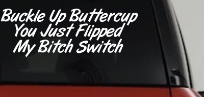 Buckle Up Buttercup You Just Flipped My Bitch Switch Funny Car or Truck Window Vinyl Decal Sticker