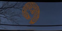 Tribal Indian native American Bear Western Car or Truck Window Vinyl Decal Sticker (Copper)