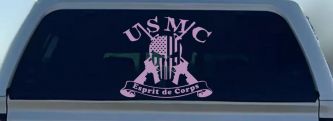 USMC United States Marine Corps Esprit de Corps Punisher Skull US Flag Crossed AR15 Guns Military Car or Truck Window Decal Sticker (Lilac)