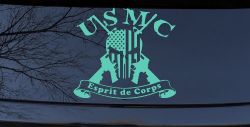 USMC United States Marine Corps Esprit de Corps Punisher Skull US Flag Crossed AR15 Guns Military Car or Truck Window Vinyl Decal Sticker (Mint)