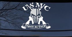 USMC United States Marine Corps Esprit de Corps Punisher Skull US Flag Crossed AR15 Guns Military Car or Truck Window Decal Sticker