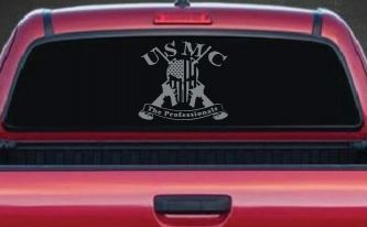 USMC United States Marine Corps The Professionals Punisher Skull US Flag Crossed AR15 Guns Military Car or Truck Window Decal Sticker (Telegrey)