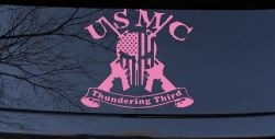 USMC United States Marine Corps Thundering Third Punisher Skull US Flag Crossed AR15 Guns Military Car or Truck Window Vinyl Decal Sticker (Pink)