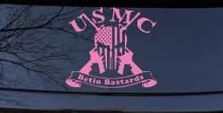 USMC United States Marine Corps Betio Bastards Punisher Skull US Flag Crossed AR15 Guns Military Car or Truck Window Vinyl Decal Sticker (Pink)
