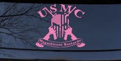 USMC United States Marine Corps Magnificent Bastards Punisher Skull US Flag Crossed AR15 Guns Military Car or Truck Window Vinyl Decal Sticker (Pink)
