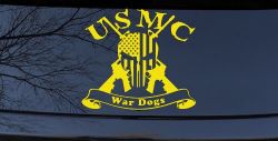 USMC United States Marine Corps War Dogs Punisher Skull US Flag Crossed AR15 Guns Military Car or Truck Window Vinyl Decal Sticker (Yellow)