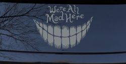 We're All Mad Here Cheshire Cat Wonderland Car or Truck Window Vinyl Decal Sticker (Telegrey)