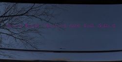 Silly Boys Trucks are for Girls Car or Truck Window Decal Sticker (Violet)