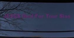 JESUS Died For Your Sins Christian Car or Truck Window Decal Sticker (Violet)