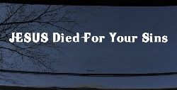 JESUS Died For Your Sins Christian Car or Truck Window Decal Sticker