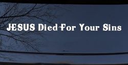 JESUS Died For Your Sins Christian Car or Truck Window Decal Sticker