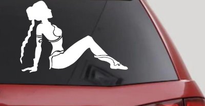 Princess Leia Car or Truck Window Vinyl Decal Sticker