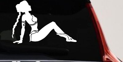 Princess Leia Car or Truck Window Vinyl Decal Sticker